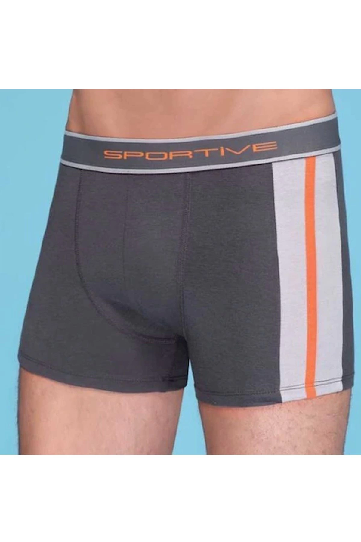 Berrak%20Erkek%20Modal%20Boxer%201080