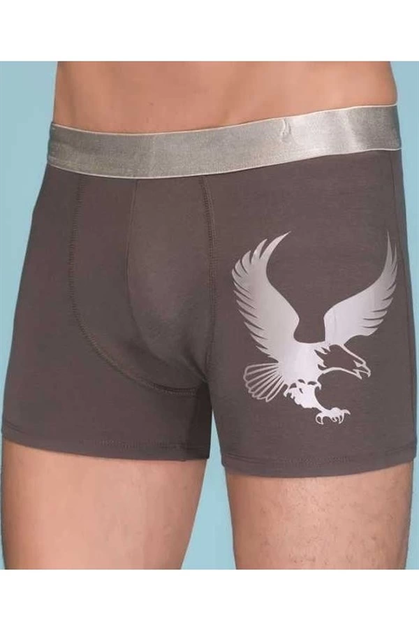 Berrak%20Erkek%20Eagle%20Boxer%201091