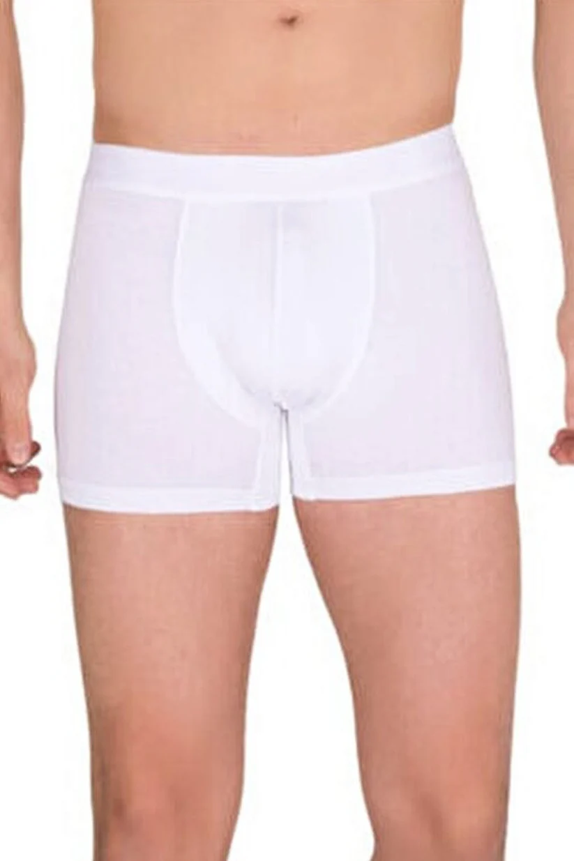 Berrak%20Erkek%20Modal%20Boxer%20%204476