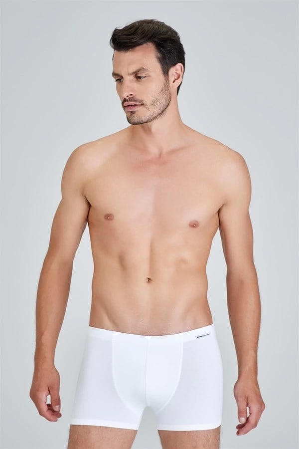 Kom%20Davide%20Boxer