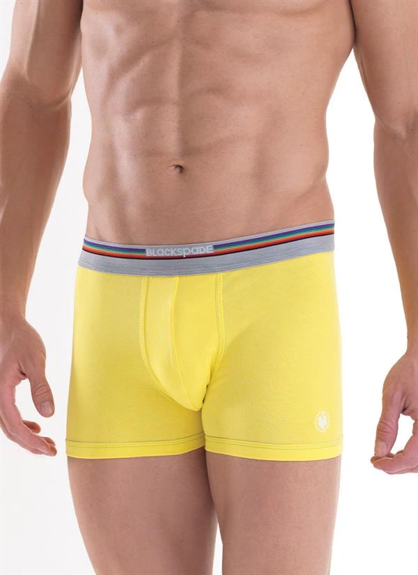 Blackspade%20Erkek%20Colours%20Boxer%209550