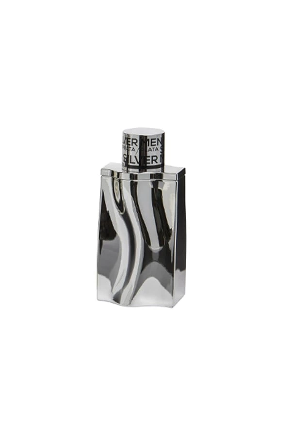 Silver%20Men%20Georges%20Mezotti%20EDT%20100%20ml%20Erkek%20Parfüm