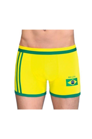 Berrak Erkek Brazilya Boxer 1088